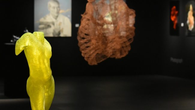 Here and Now exhibition by La Lanta Fine Art