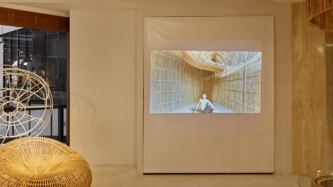 Project Rattan