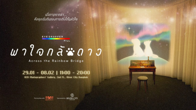 พาใจกลับดาว