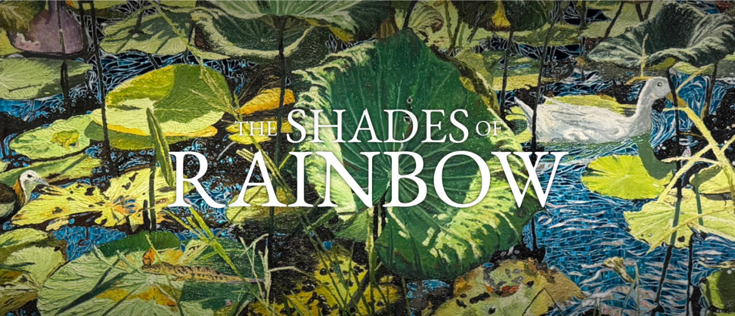 The shades of rainbow