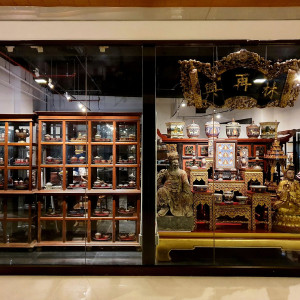 Adul Collection