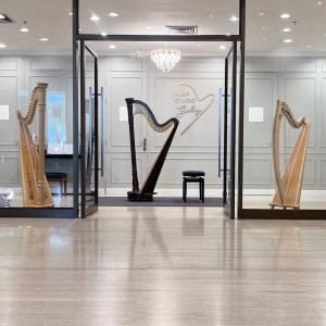 Harp Studio Gallery