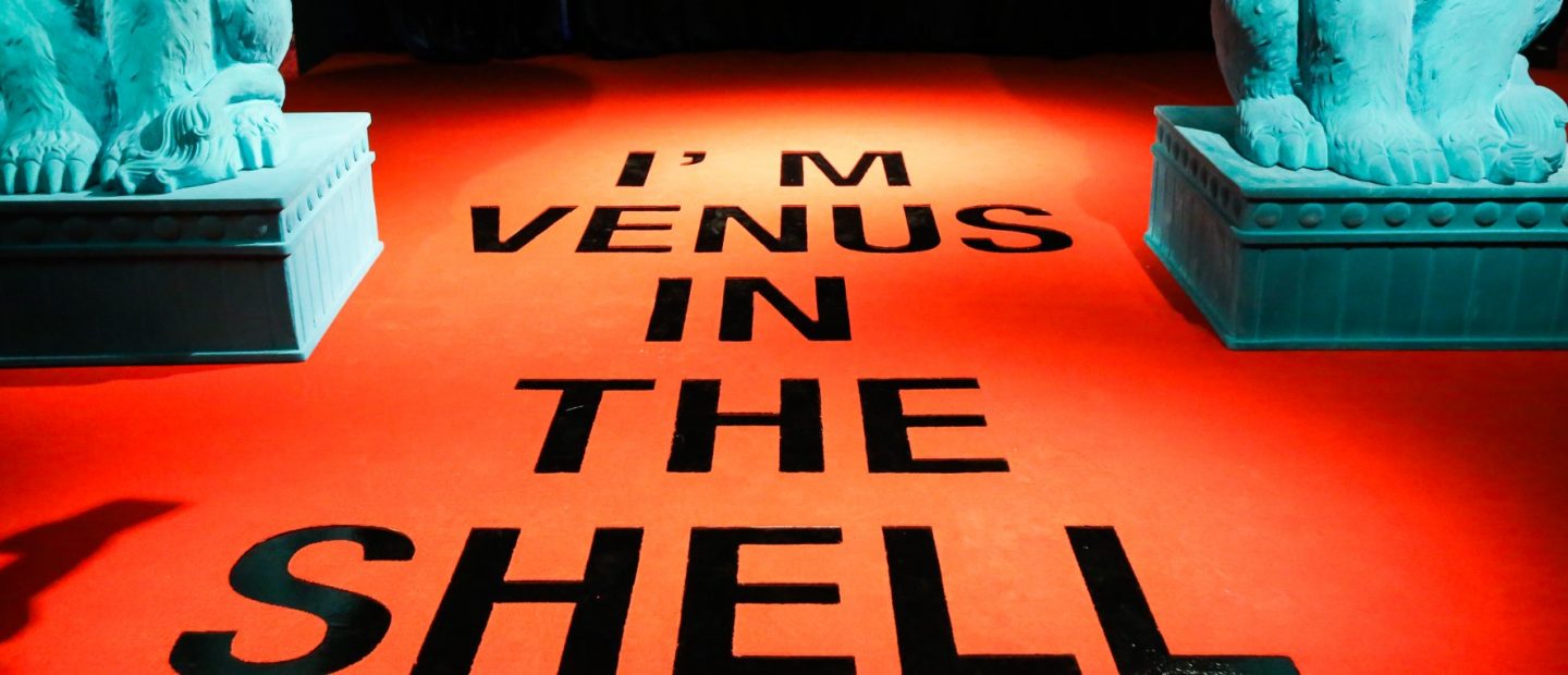 Venus in the Shell